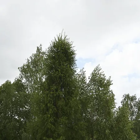 Apartment * Cieszyn (Silesia)