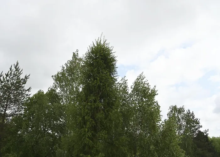 Apartment * צ'שין